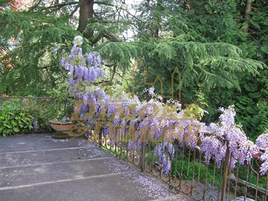 Immagine 7 di Albergo/B&B/Residence in vendita  in Via Fontana 3 a Varzo