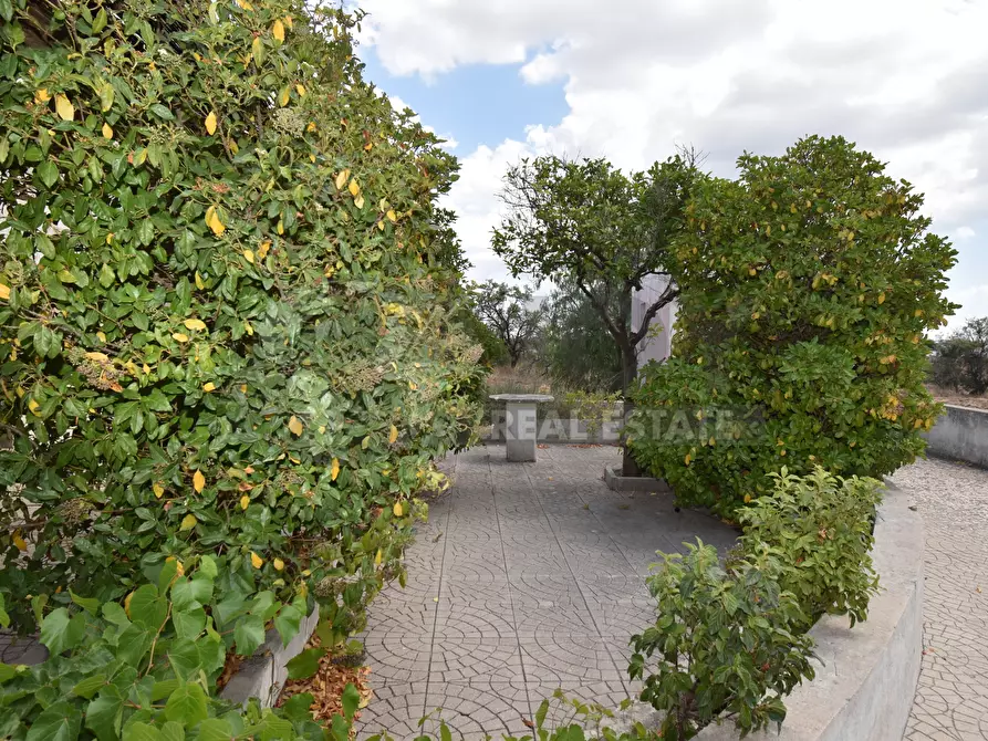 Immagine 17 di Villa in vendita  in Via Carlo Donat Cattin 63 a Specchia