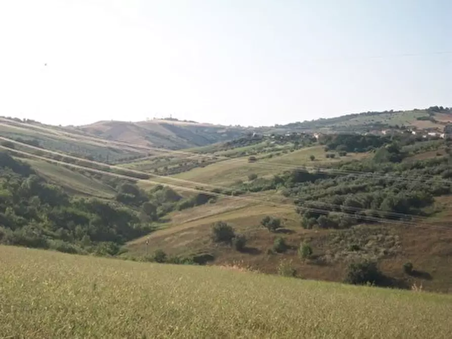 Immagine 22 di Terreno agricolo in vendita  in C.DA RIZZACORNO a Lanciano