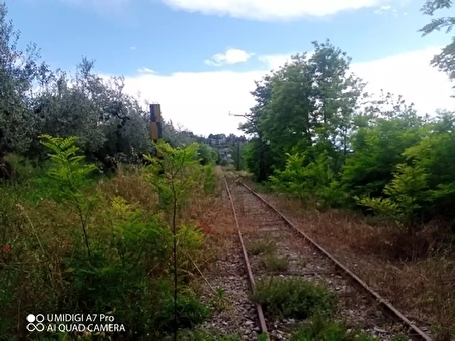 Immagine 6 di Terreno agricolo in vendita  in CONTRADA MARCIANESE a Lanciano