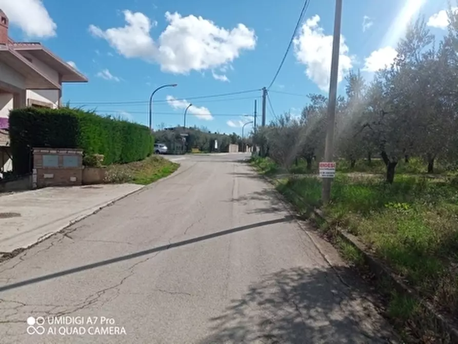 Immagine 18 di Terreno agricolo in vendita  a Fossacesia
