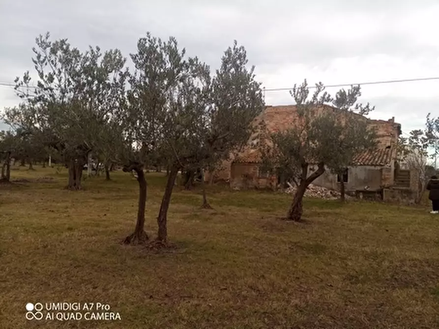 Immagine 14 di Rustico / casale in vendita  in VIA VECCHIA SCORCIOSA a Fossacesia