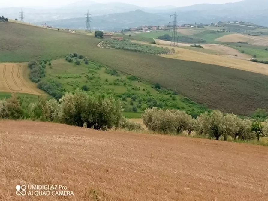 Immagine 7 di Terreno agricolo in vendita  in LOCALITA' CATOSCIO a Castel Frentano