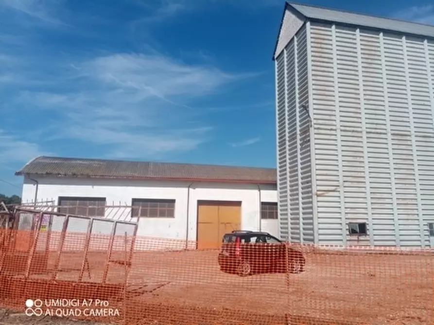 Immagine 10 di Attività artigianale in vendita  in C.DA PIANA LA BARCA a Paglieta