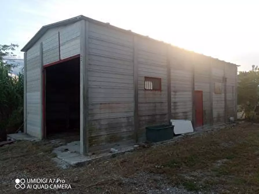 Immagine 33 di Rustico / casale in vendita  in VIA DE THOMASSIS a Castel Frentano