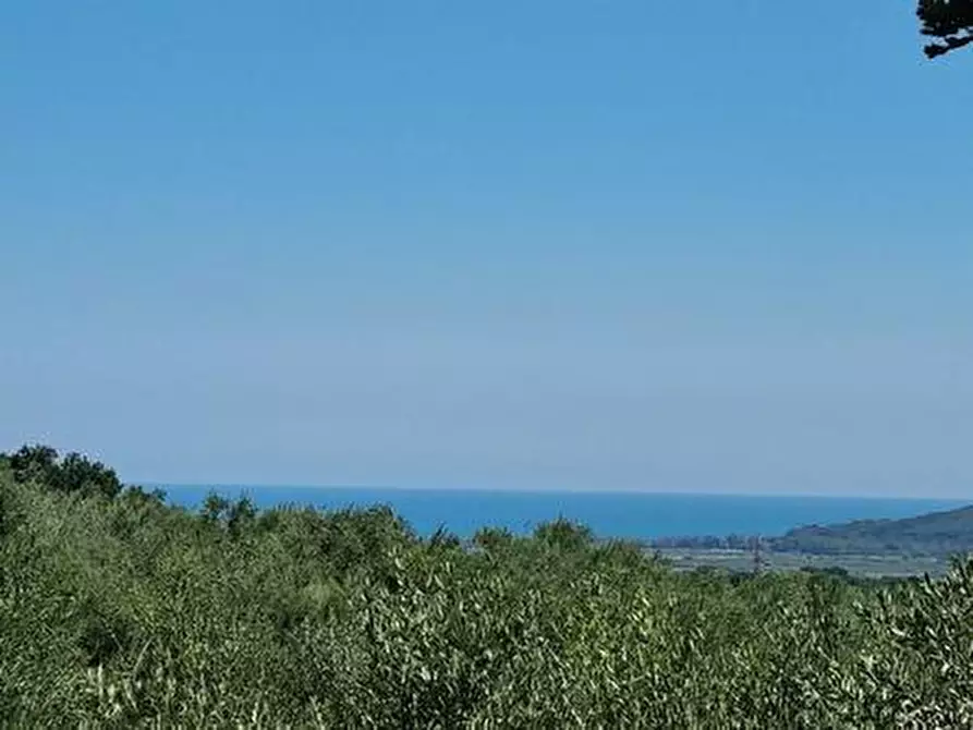Immagine 7 di Terreno agricolo in vendita  a Santa Maria Imbaro