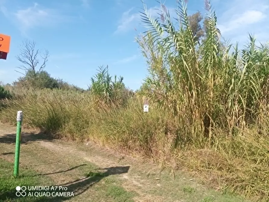 Immagine 3 di Terreno agricolo in vendita  in LOCALITA' SALETTI a Atessa