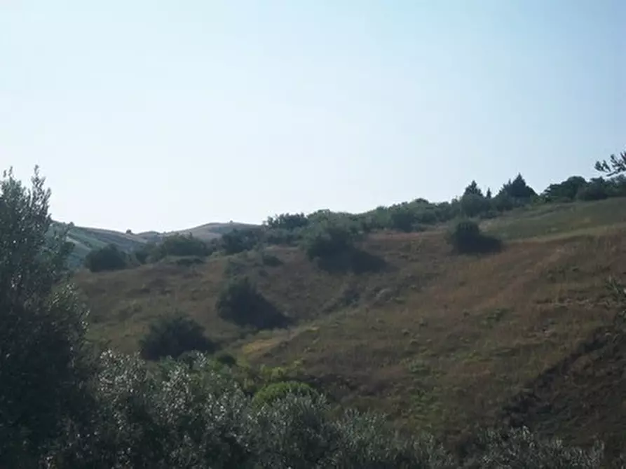 Immagine 15 di Terreno agricolo in vendita  in C.DA RIZZACORNO a Lanciano