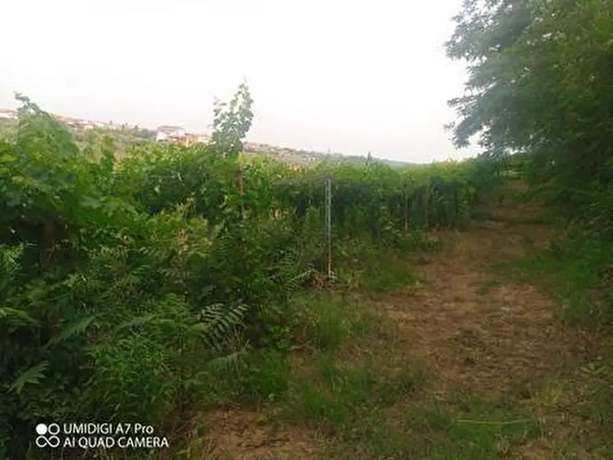 Immagine 24 di Terreno agricolo in vendita  in C.DA VILLA STANAZZO a Lanciano
