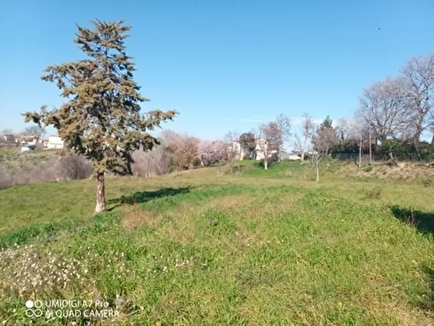 Immagine 13 di Rustico / casale in vendita  in CONTRADA MORGE a Castel Frentano