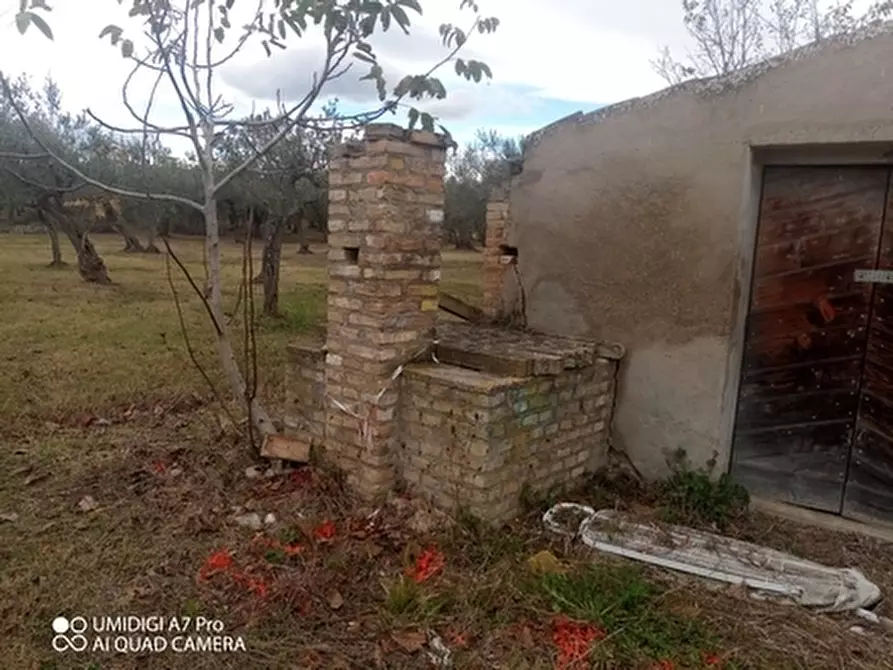 Immagine 9 di Rustico / casale in vendita  in VIA VECCHIA SCORCIOSA a Fossacesia