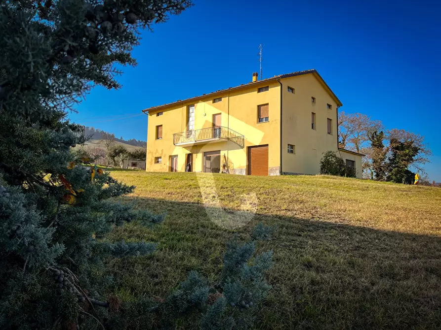 Immagine 17 di Rustico / casale in vendita  a Staffolo