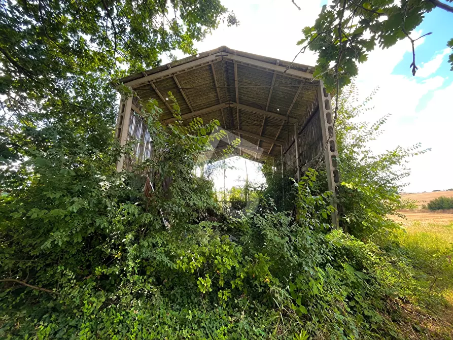 Immagine 4 di Rustico / casale in vendita  a Monte Roberto