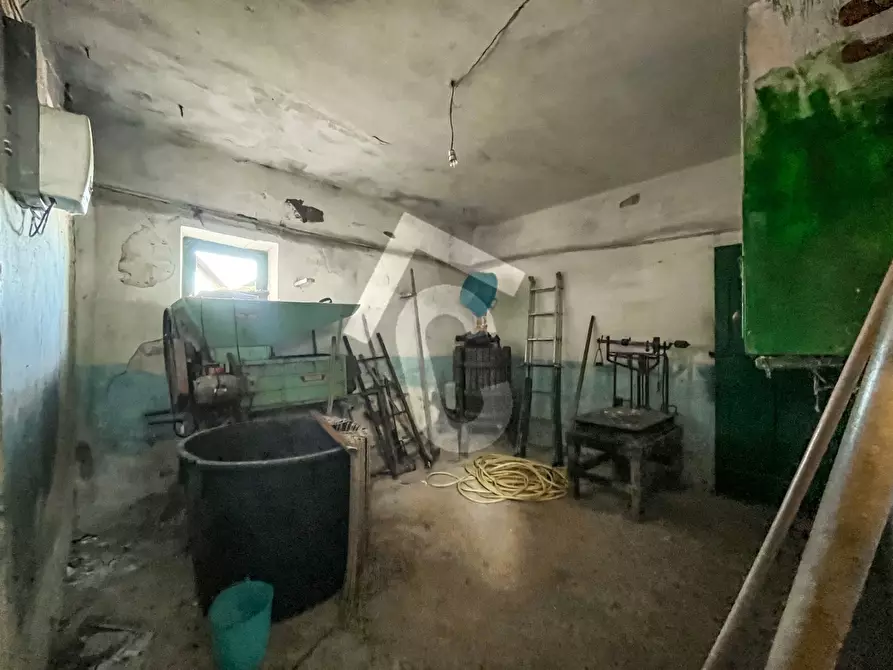 Immagine 22 di Rustico / casale in vendita  a Belvedere Ostrense