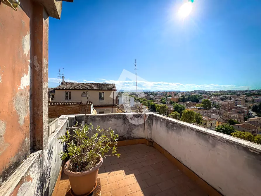 Immagine 2 di Appartamento in vendita  a Jesi