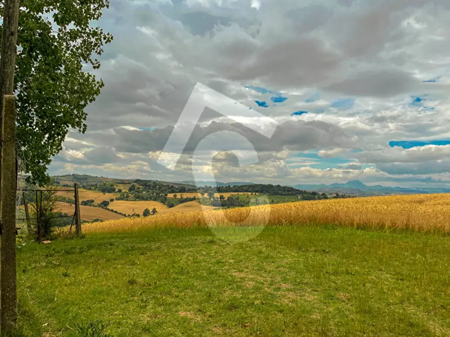 Immagine 46 di Casa indipendente in vendita  a Jesi