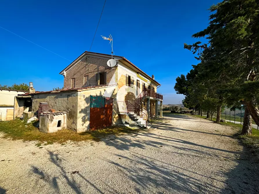Immagine 8 di Rustico / casale in vendita  a Montecarotto