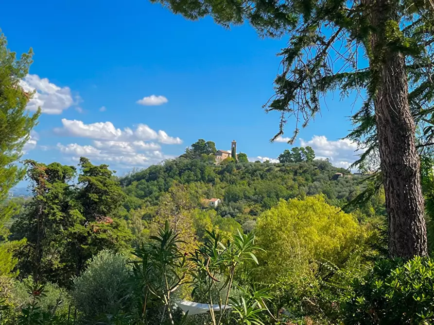 Immagine 49 di Casa bifamiliare in vendita  a Castelbellino