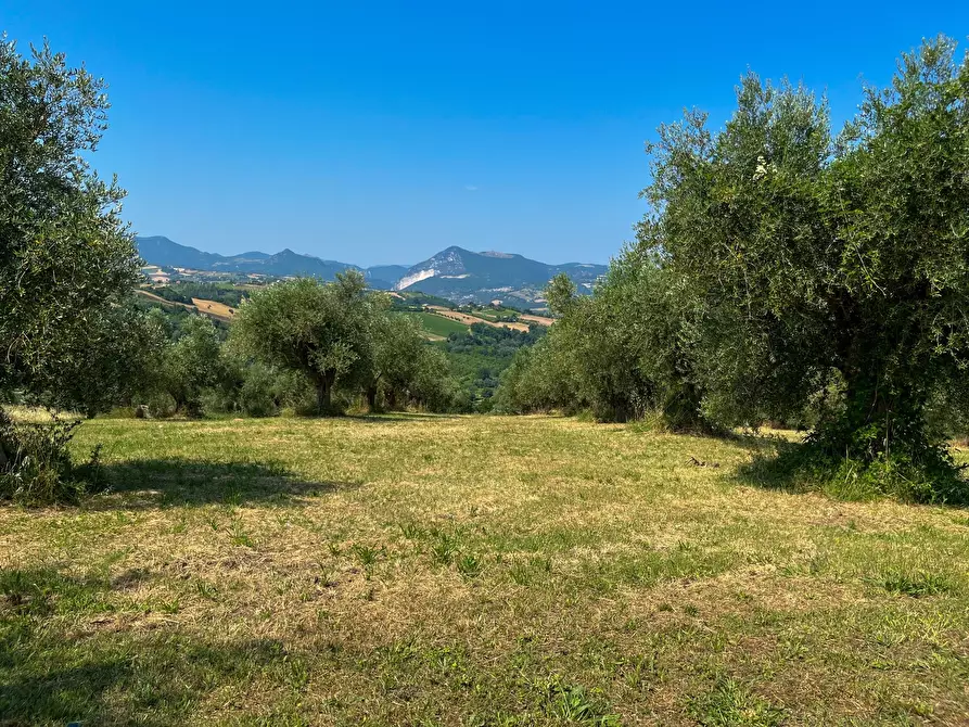Immagine 32 di Rustico / casale in vendita  a Maiolati Spontini