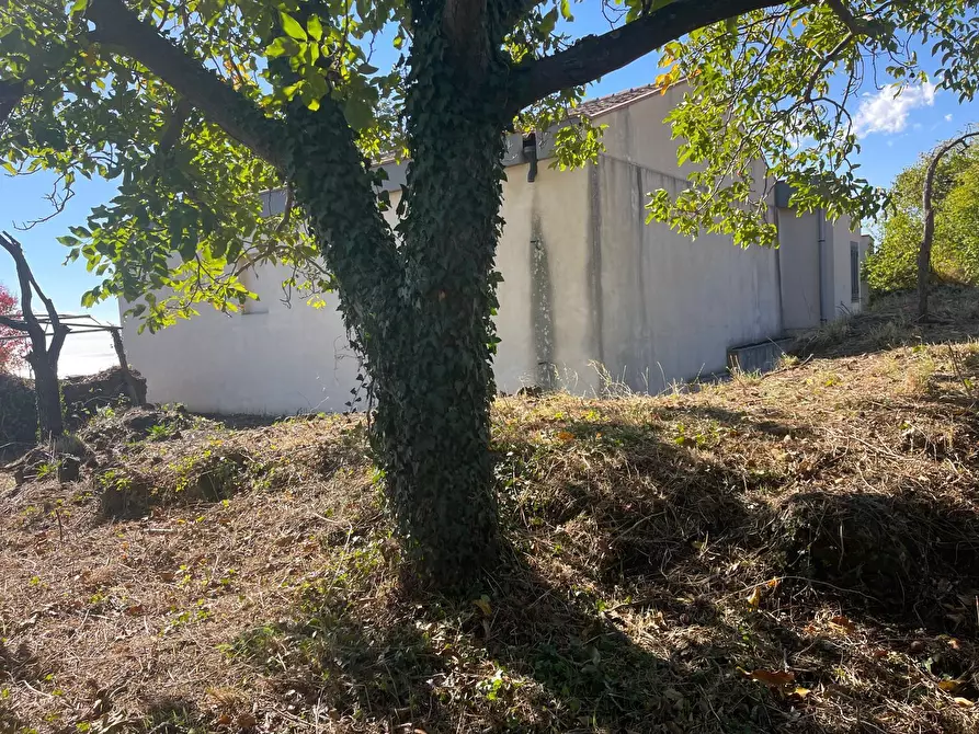 Immagine 35 di Villa in vendita  a Zafferana Etnea