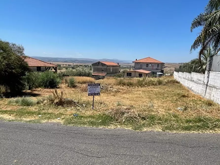 Immagine 6 di Terreno agricolo in vendita  a Lentini