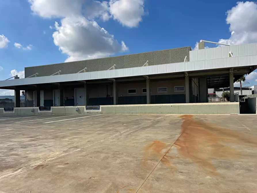 Immagine 4 di Capannone industriale in affitto  a Scordia