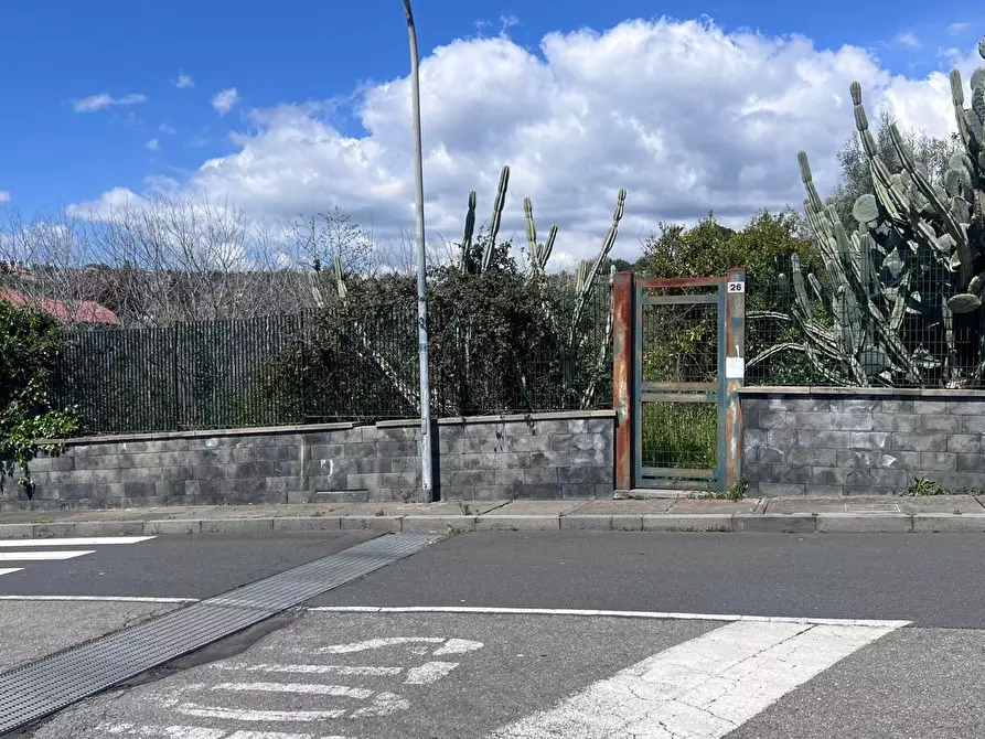Immagine 12 di Terreno agricolo in vendita  a Tremestieri Etneo