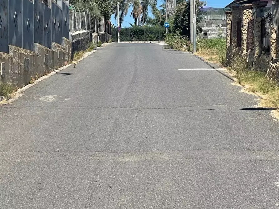 Immagine 5 di Terreno agricolo in vendita  a Lentini