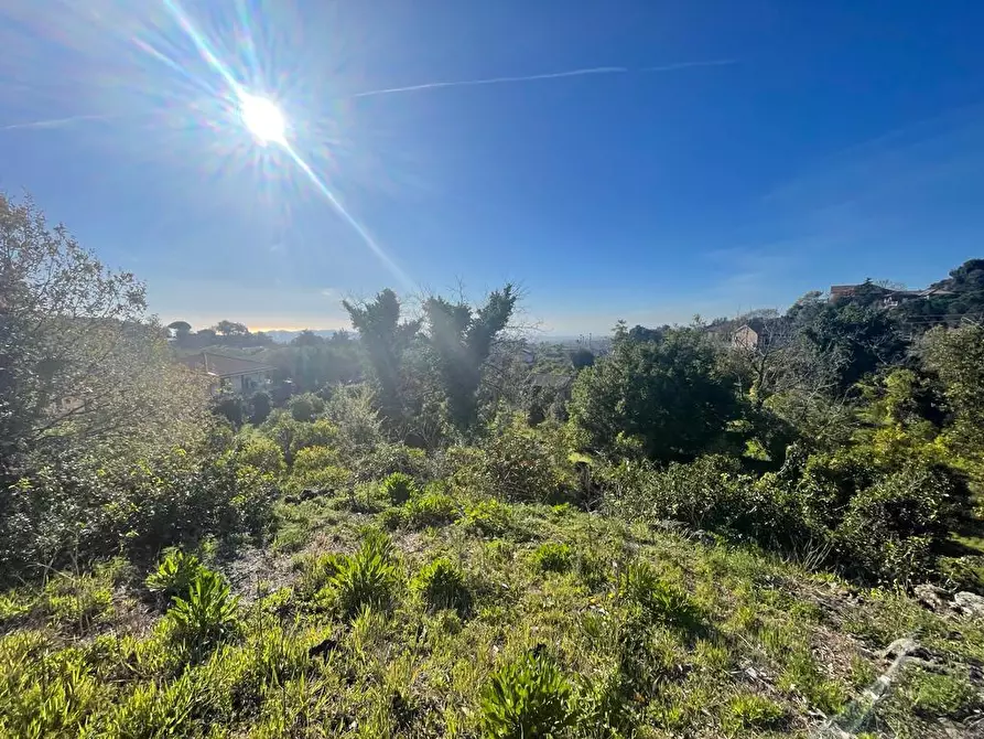 Immagine 12 di Terreno industriale in vendita  a Trecastagni