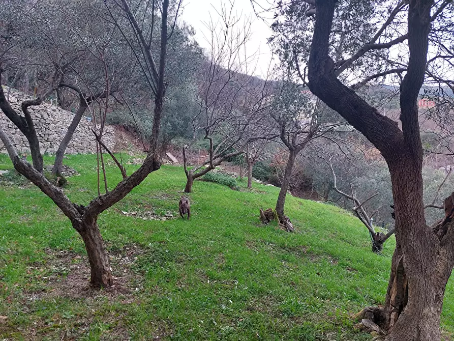 Immagine 36 di Trilocale in vendita  in Via San Pantaleo a Genova