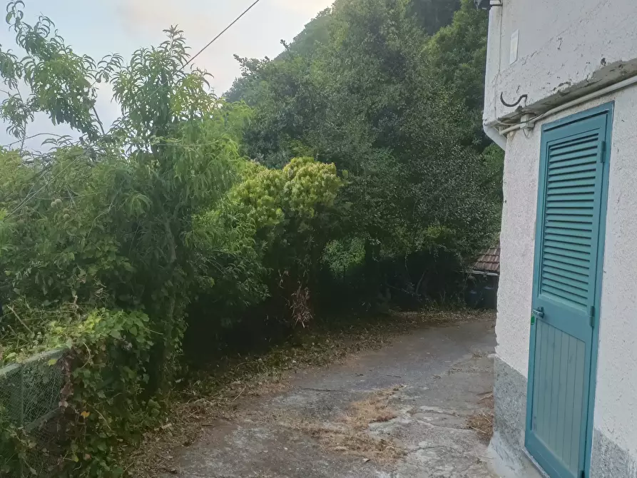 Immagine 37 di Casa bifamiliare in vendita  in Via Gino Pellegrini 14 a Varazze