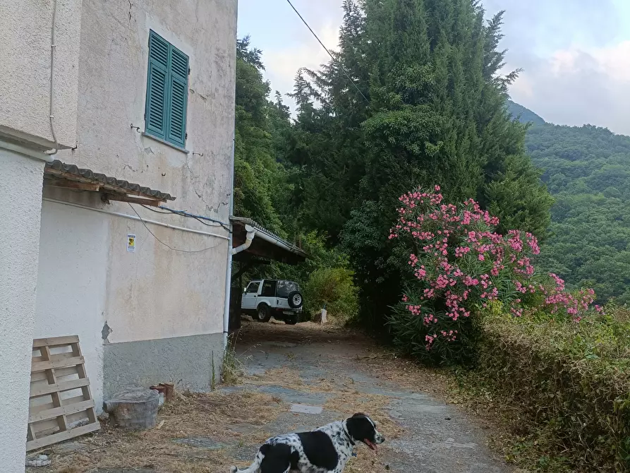 Immagine 36 di Casa bifamiliare in vendita  in Via Gino Pellegrini 14 a Varazze