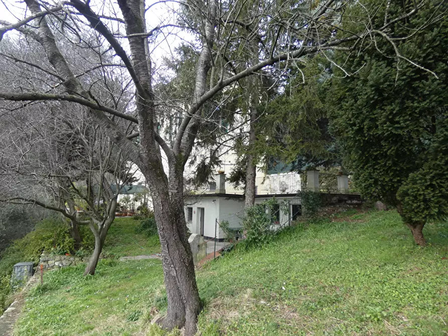Immagine 56 di Casa indipendente in vendita  a Genova