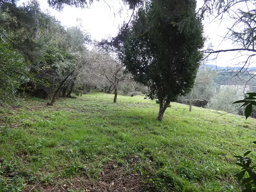 Immagine 59 di Casa indipendente in vendita  a Genova
