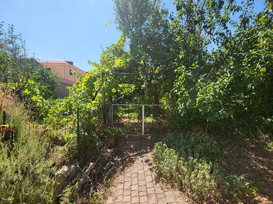 Immagine 11 di Casa indipendente in vendita  in Via Giotto 22 a Acri