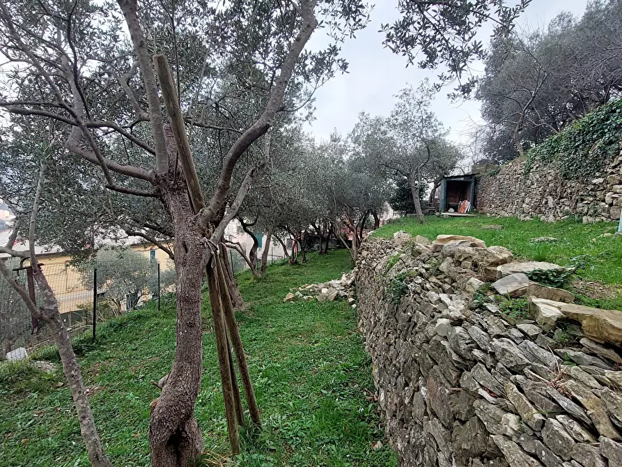 Immagine 31 di Trilocale in vendita  in Via San Pantaleo a Genova