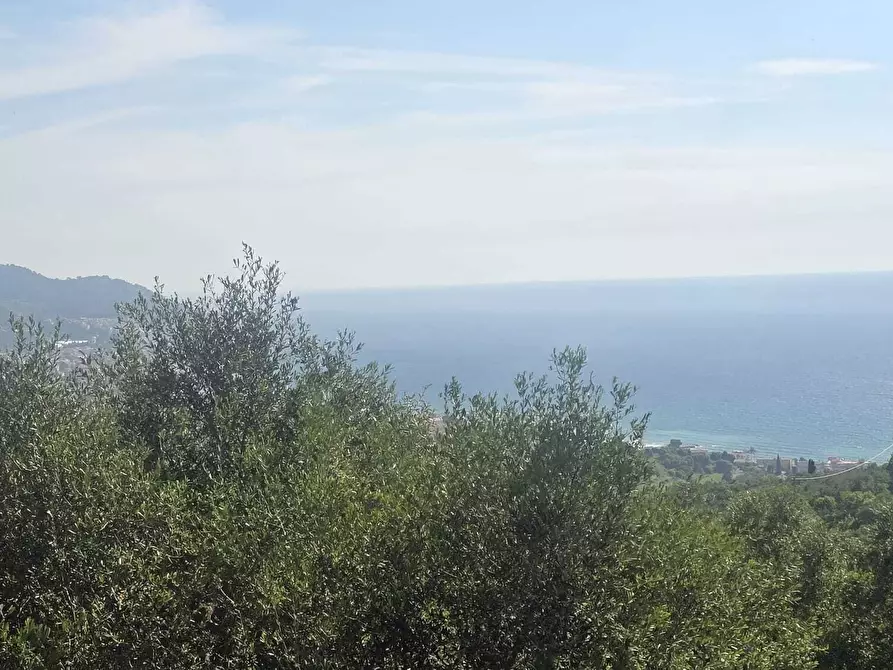 Immagine 41 di Villa in vendita  in Via San Leonardo 51 a Diano Marina