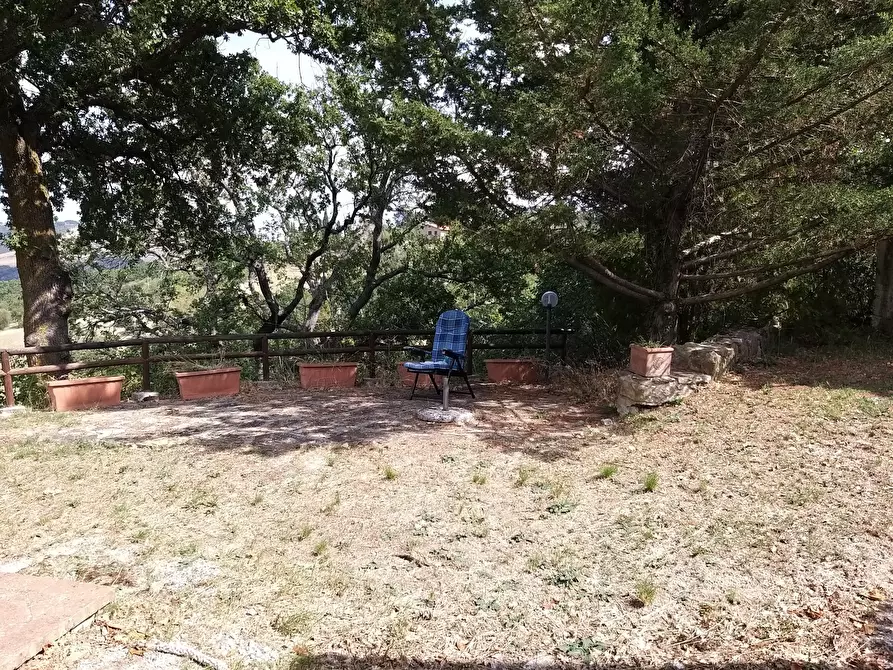 Immagine 4 di Porzione di casa in vendita  in Località Poggio Rosa 15 a Castiglione D'orcia