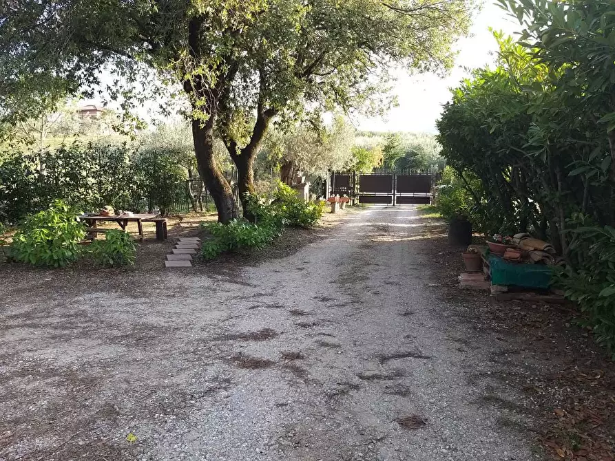 Immagine 45 di Rustico / casale in vendita  in Vocabolo Coccimignolo 37 a Marsciano
