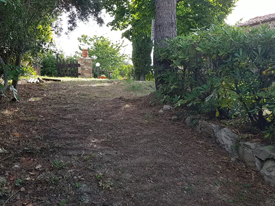 Immagine 40 di Porzione di casa in vendita  in Località Poggio Rosa 15 a Castiglione D'orcia