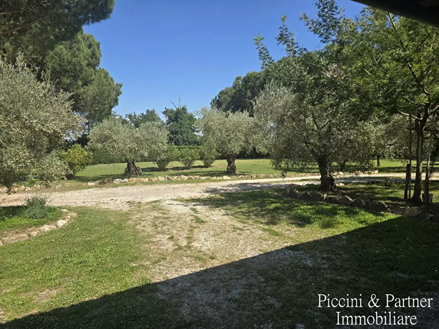 Immagine 73 di Villa in vendita  in Località Castagni 2 a Castiglione Del Lago