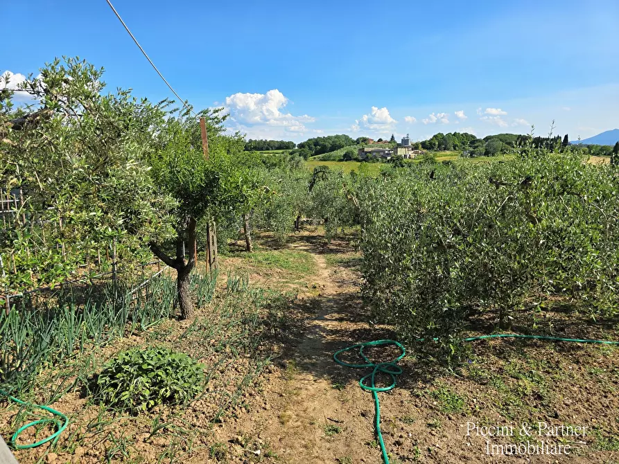 Immagine 80 di Terratetto in vendita  in Via Napoli a Castiglione Del Lago