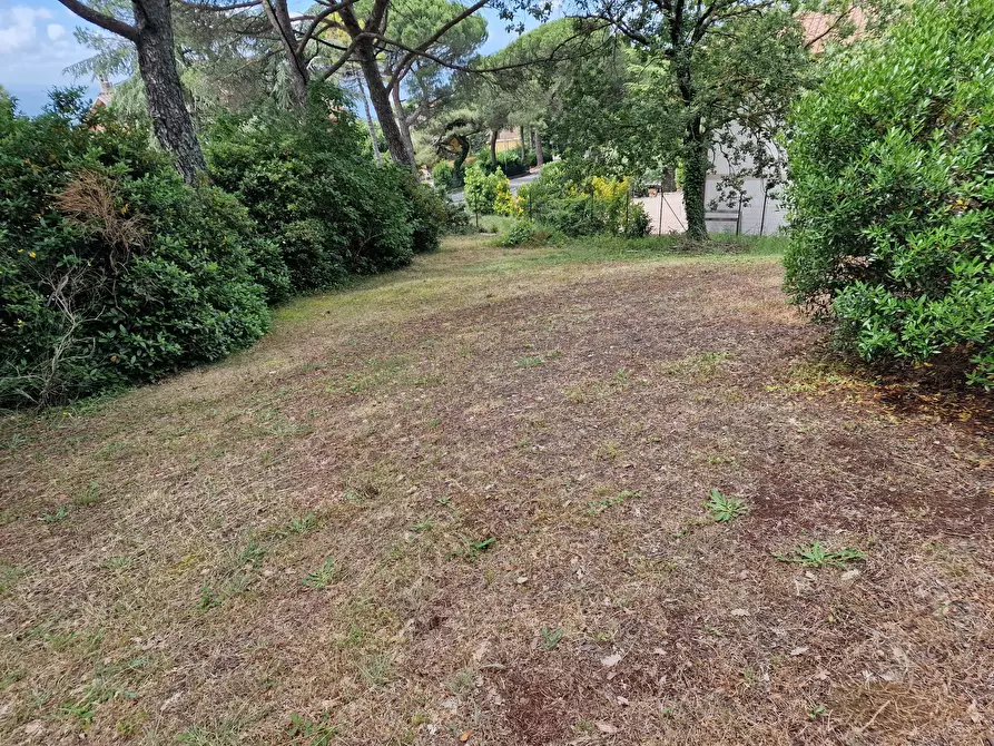 Immagine 55 di Villa in vendita  in Via delle Baite a Passignano Sul Trasimeno