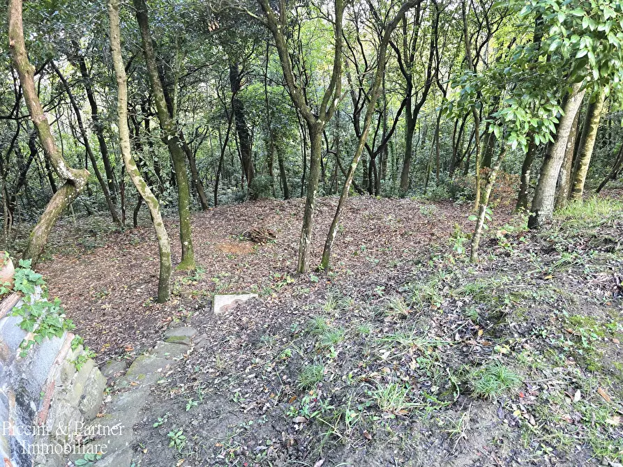 Immagine 58 di Villa in vendita  in Località Cinque Cerri a Bettona