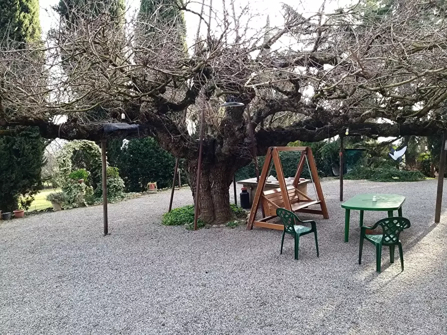 Immagine 3 di Rustico / casale in vendita  in Località I Poggi 28 a Castiglione Del Lago