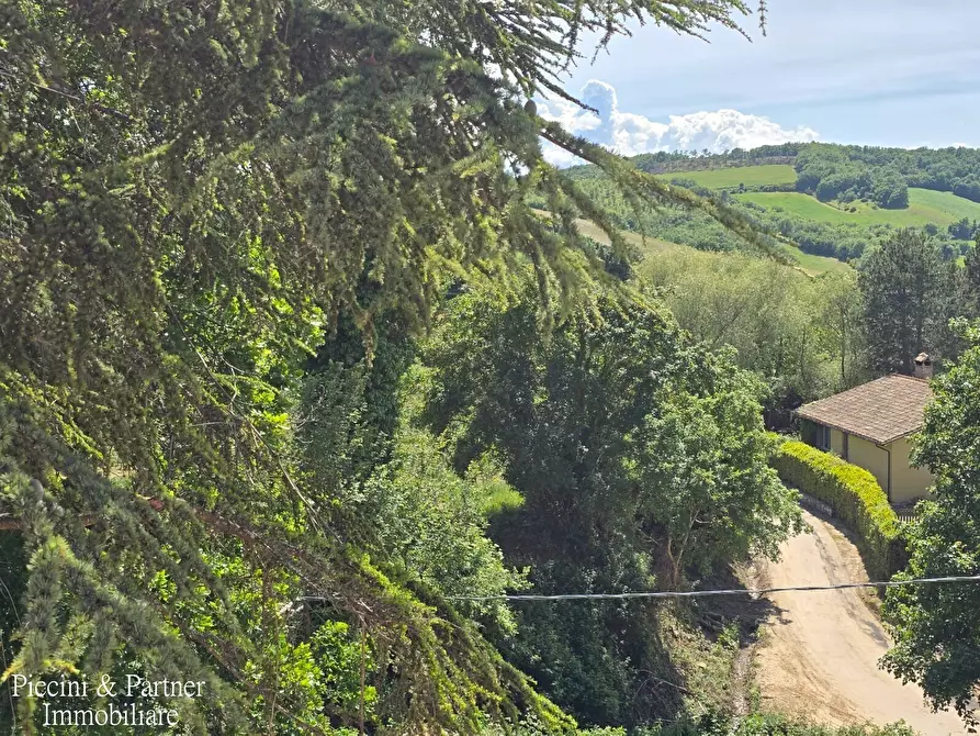 Immagine 16 di Rustico / casale in vendita  a Assisi