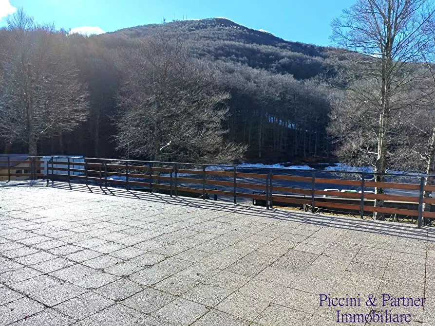 Immagine 31 di Bilocale in vendita  in Prato della Marsiliana Monte Amiata a Seggiano