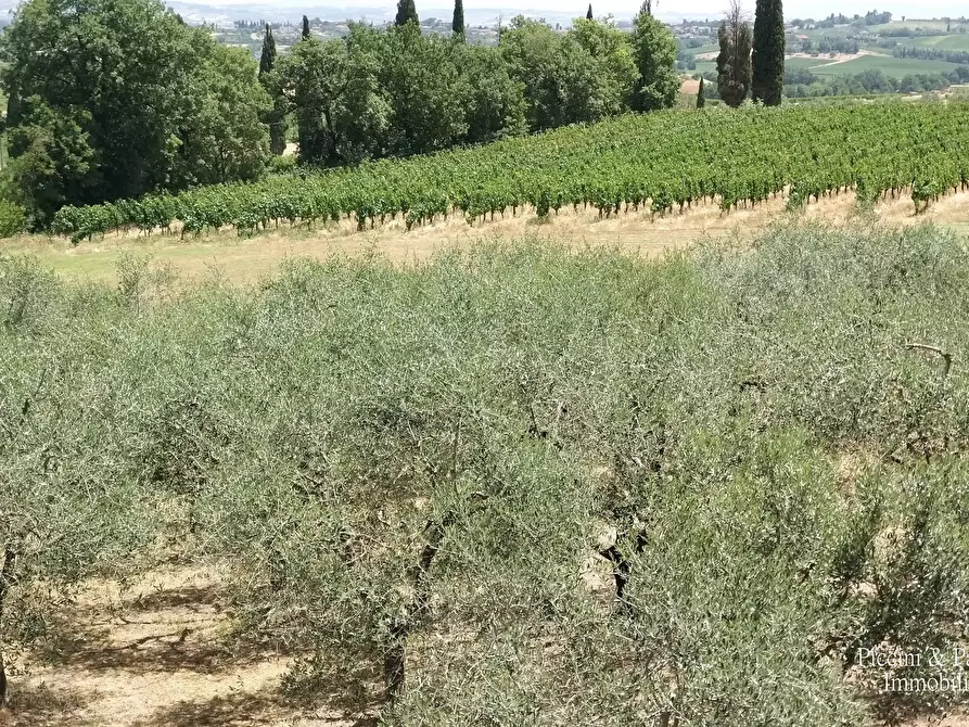 Immagine 3 di Terreno agricolo in vendita  in Via Ascianello a Montepulciano