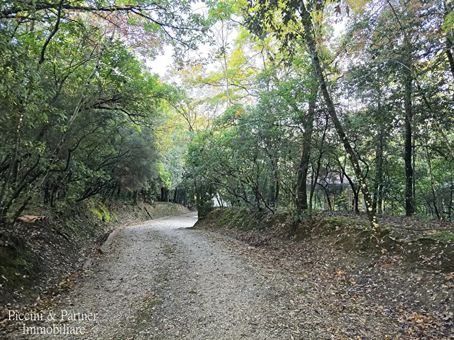 Immagine 3 di Villa in vendita  in Località Cinque Cerri a Bettona