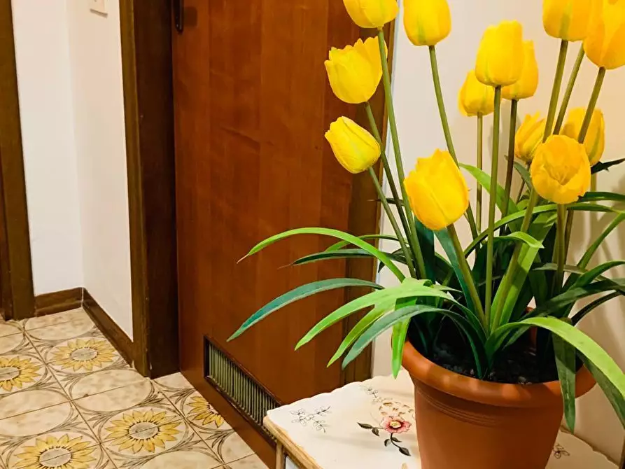 Immagine 21 di Quadrilocale in vendita  in Via Montecatini a Massa